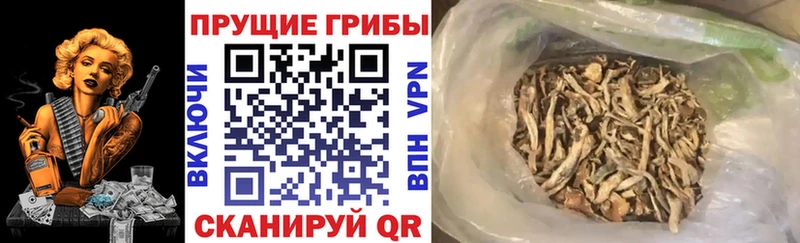 Галлюциногенные грибы MAGIC MUSHROOMS  Купить  Армавир 